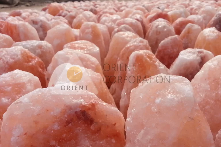 Natural Himalayan salt lamp shells